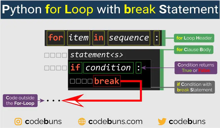 Python for Loop with break Statement