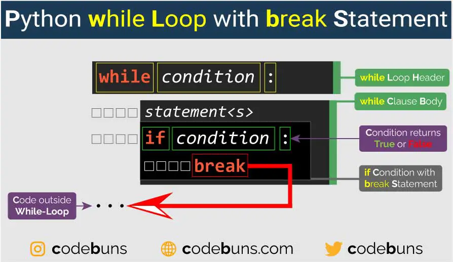 python while loop with break statement